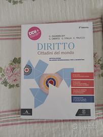 Diritto cittadini nel mondo 9788800362696