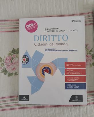 Diritto cittadini nel mondo 9788800362696