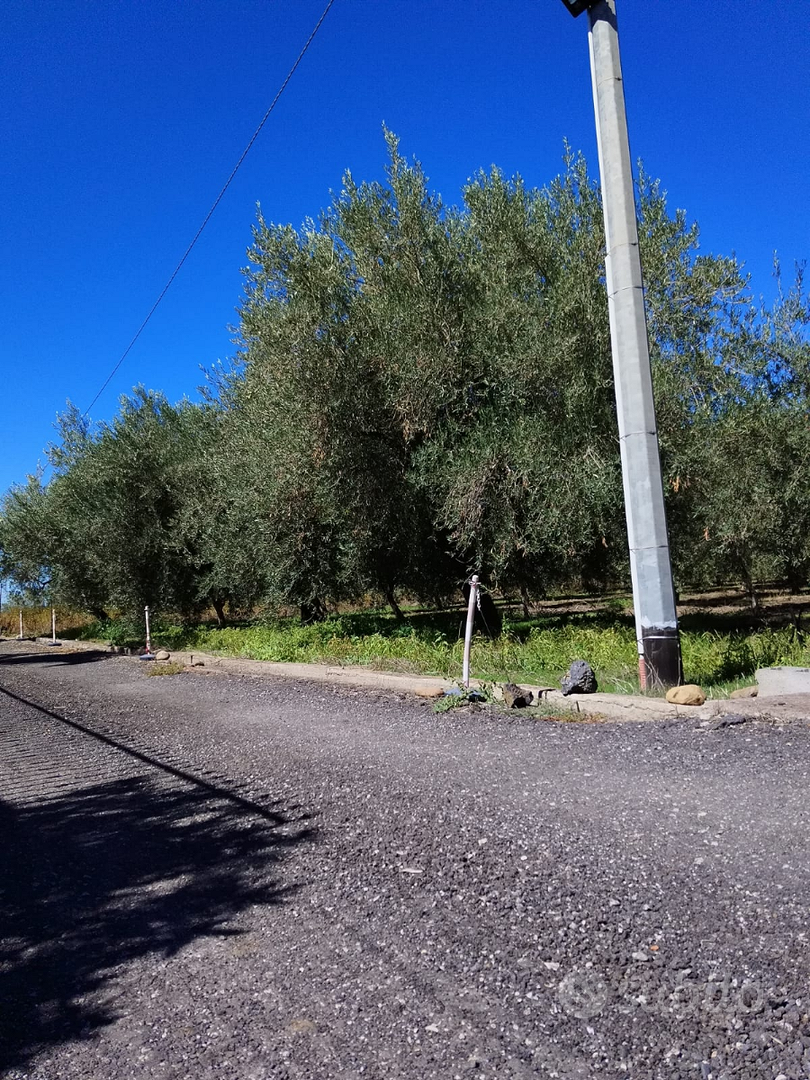 Vendita Terreno Agricolo - Altro