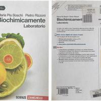 BIOCHIMICAMENTE LABORATORIO