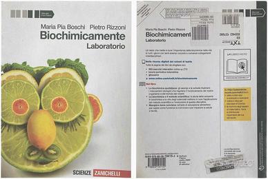 BIOCHIMICAMENTE LABORATORIO