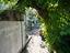 Immagine 28