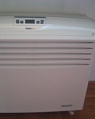 Climatizzatore 