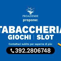 Taccheria lotto sisal valori bollati CR275