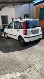 Panda fiat