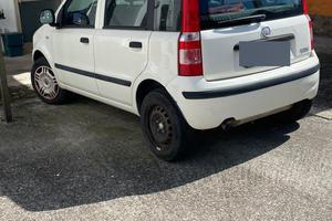 Panda fiat