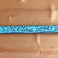 Teleregolabile SAM Cellina