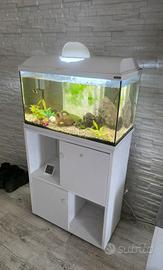 Acquario ZOOLUX 60 LT + Mobile ed allestimento