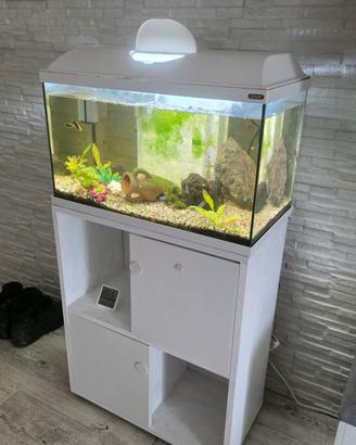 Acquario ZOOLUX 60 LT + Mobile ed allestimento