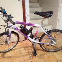 Bici unisex 20 pollici