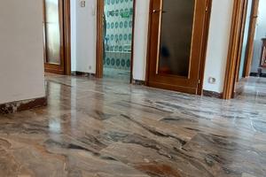 Parco Gran Paradiso Locana
