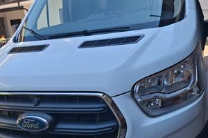 Furgone Ford Transit