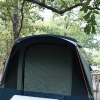 Bertoni globo vip 3