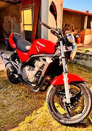 Kawasaki ER-5 – Anno 2004 –