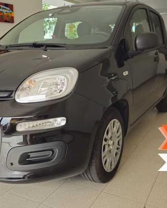 FIAT Panda 3� serie Panda 1.0 FireFly S&S Hybrid
