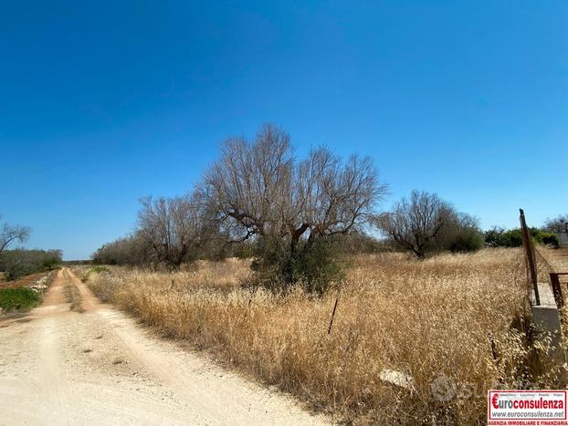 Terreno agricolo con cisterna ad ugento