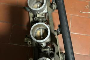 Gruppo farfallato Triumph speed triple 955 98-2001