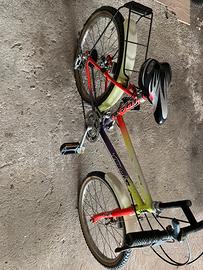 Bici bimba/o