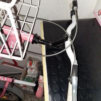 bicicletta 10 anni