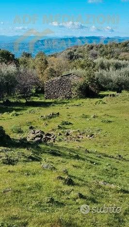 Terreno Agricolo Con Rudere - Vista 5