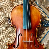 Violino