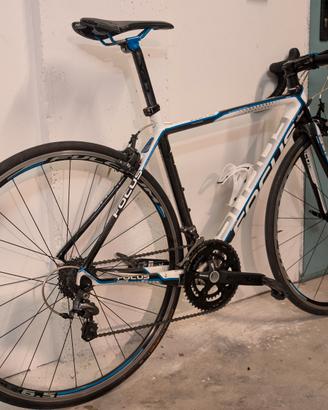 FOCUS CAYO EVO 4 Carbonio 