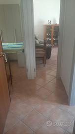 Grazioso appartamento nel centro di Sant'Angelo