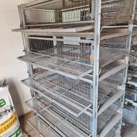 Batteria per quaglie ovaiole 