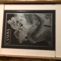 CANOVA UTET Grandi Opere