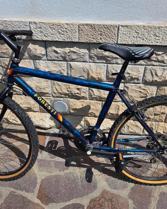 Bicicletta ragazzo