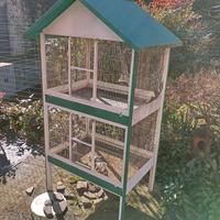 Casetta e gabbia per uccelli