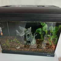 Acquario mirabello 30 litri