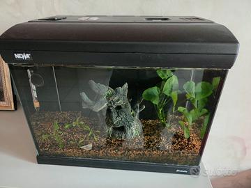 Acquario mirabello 30 litri