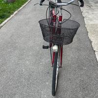 Bici da Città Donna Silvestri