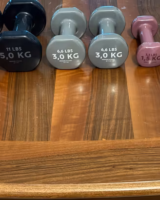 Set 19 kg Pesi Palestra Decathlon 5kg, 3kg, 1.5 kg