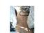 Immagine 23