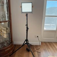 Ring Light 18" + Pannello LED NL480 NEEWER