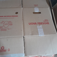 Scatole in cartone uova