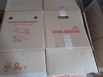 Scatole in cartone uova