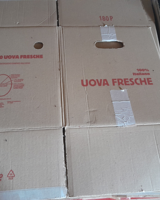 Scatole in cartone uova