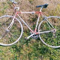 bici da corsa 