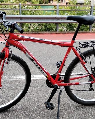 Bicicletta 26"  da uomo/ragazzo 