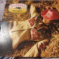 Madonna vinile
