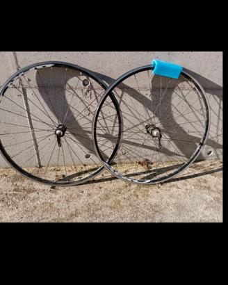 Coppia ruote bici