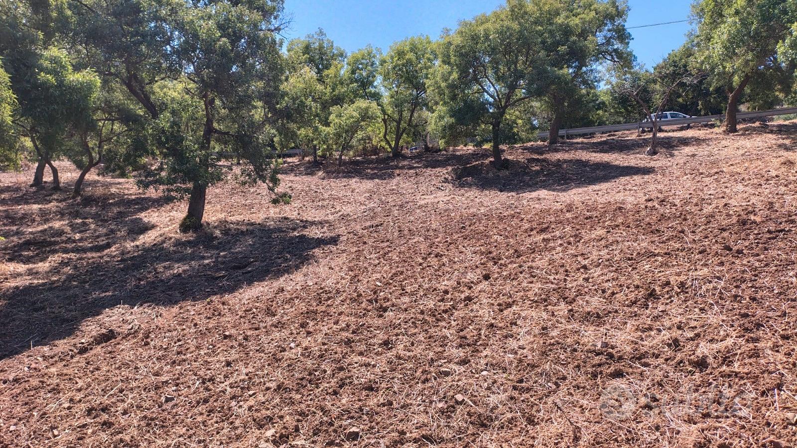 Terreno agricolo - Vista 5