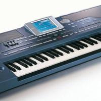 KORG PA800 PLUS+CUSTODIA RIGIDA