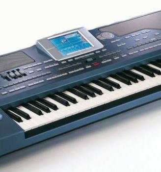 KORG PA800 PLUS+CUSTODIA RIGIDA
