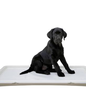 Porta traversine per cani/gatti