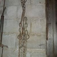 Catena per bovino da stalla