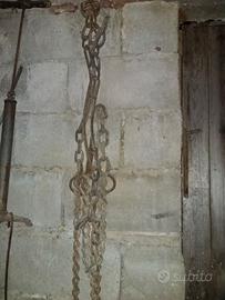 Catena per bovino da stalla